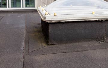 disadvantages of Scackleton flat roofs