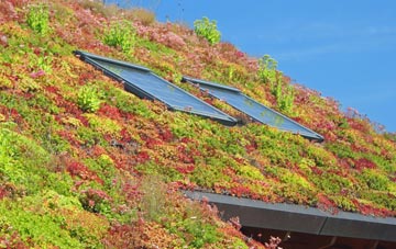 Scackleton living roof systems