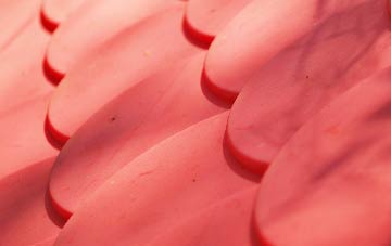 Scackleton plastic roof costs