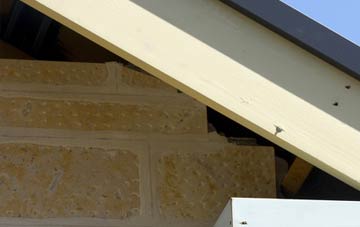 soffit repair Scackleton