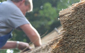 professional Scackleton thatchers