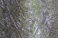 Scackleton fibreglass roof work