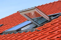 Scackleton roof window